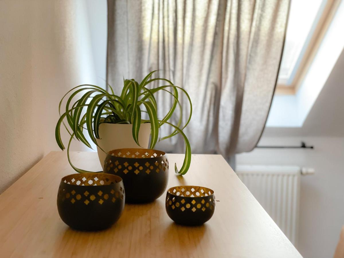 Ferienwohnung Hintermoos Kißlegg エクステリア 写真