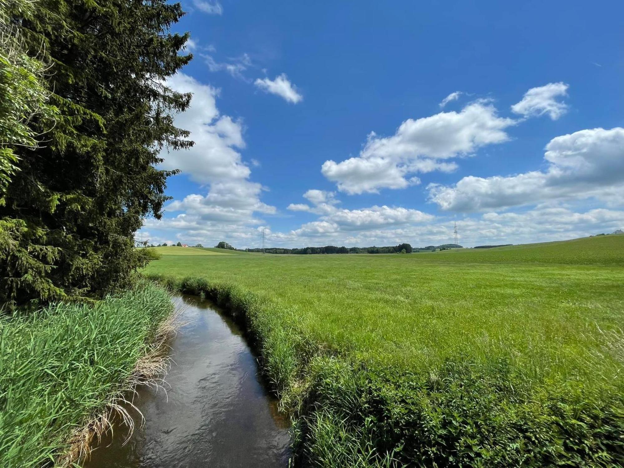 Ferienwohnung Hintermoos Kißlegg エクステリア 写真