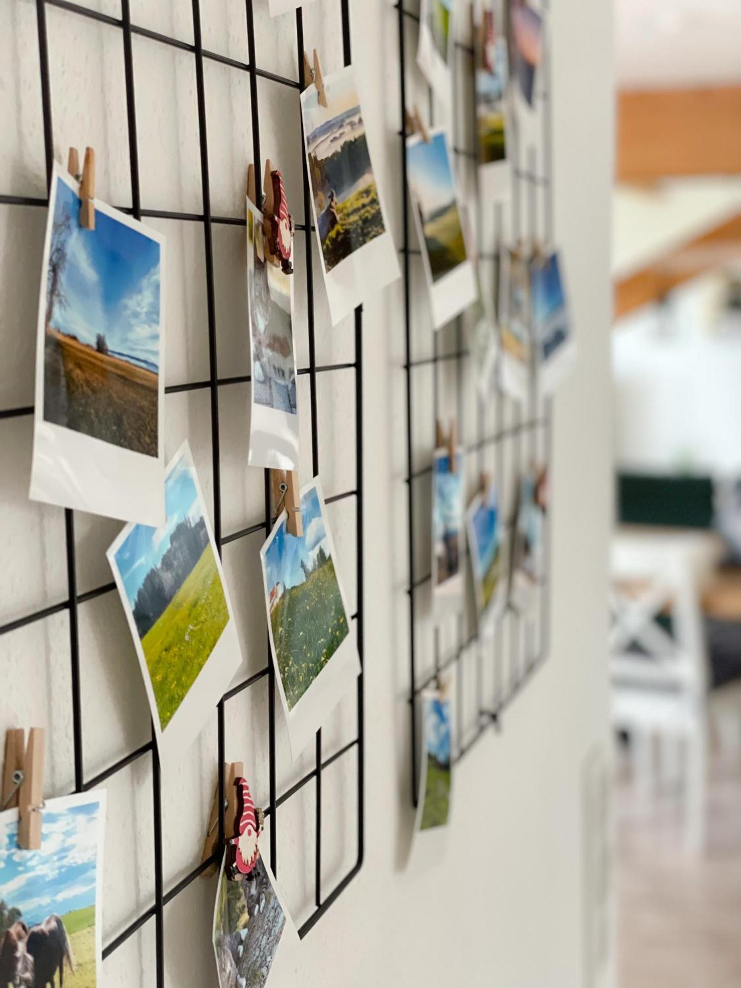 Ferienwohnung Hintermoos Kißlegg エクステリア 写真